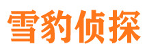 西吉市调查公司